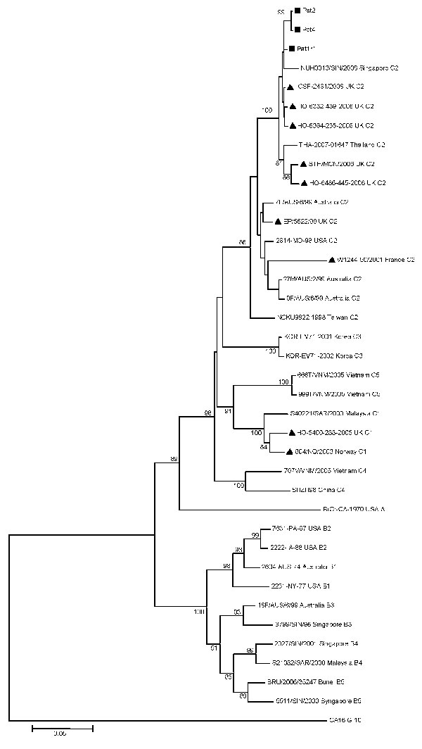 Phylogenetic relationships between 3 French strains and 34 worldwide enterovirus 71 GenBank-selected strains based on alignment of complete viral protein (VP) 1 coding sequences. The prototype coxsackievirus A16 (CoxA16-G10) was used as the outgroup virus. The phylogenetic tree was constructed by the neighbor-joining method by using MEGA4 (www.megasoftware.net). Bootstrap values (&gt;70%) derived from 1,000 samplings are shown at the nodes of the tree. Phylogenetic separation of C2 isolates appe