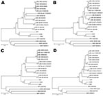 Thumbnail of Phylogeny of lymphocytic choriomeningitis virus (LCMV) strains and the viruses detected in this study based on the analysis of complete sequences of amino acids (aa) and nucleotides (nt) of glycoprotein (GPC) and nucleocapsid protein (NP) genes. A) GPC nt; B) GPC aa; C) NP nt; D) NP aa. Each sequence used shows the name of LCMV strain followed by GenBank accession number. Numbers indicate &gt;80% bootstrap values. Scale bars indicate nucleotide substitutions per site. IPPIV, Ippy vi