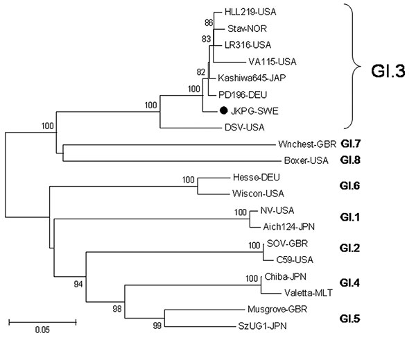 Phylogenetic analysis of amino acids of the norovirus capsid gene from the gastroenteritis outbreak in Jönköping, Sweden (JKPG, •) and reference strains. The tree was constructed using the neighbor-joining and Poisson correction methods, with MEGA 4.0 software (www.megasoftware.net). Bootstrap values are shown at the branch nodes (values &lt;70% are not shown). Reference sequences were collected from Genbank and represent the 8 genotypes of GI as described by Zheng et al. (26). Scale bar indicat