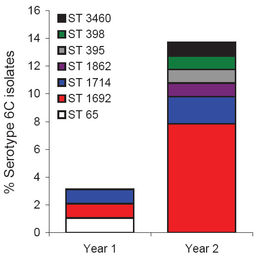 Genotypes of serotype 6C pneumococci isolated from children in 2006-2007 (year 1) and 2007-2008 (year 2), United Kingdom. ST, sequence type.