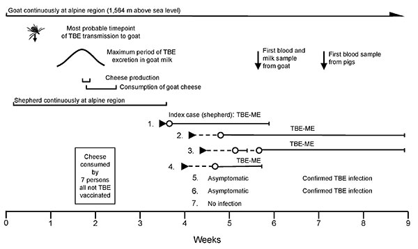 Time course and series of events of a tick-borne encephalitis (TBE) outbreak from cheese made with goat milk. Week 0, transport of goat to high altitude; ►, onset of disease; O—I, hospitalization period; TBEV, tick-borne encephalitis virus; ME, meningoencephalitis.