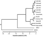 Thumbnail of Dendrogram constructed for comparison of open reading frame 1 polypeptide genomic sequence minus the capsid sequence. The geographically and numerically named species are strains of rabbit hemorrhagic disease virus. MRCV, Michigan rabbit calicivirus; EBHSV, European brown hare syndrome virus.