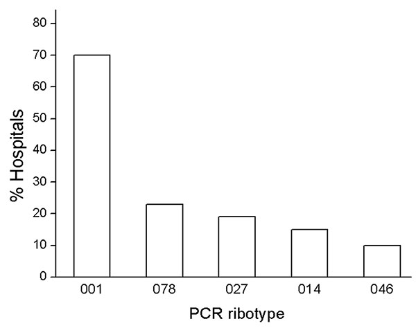 Prevalent PCR ribotypes of Clostridium difficile in hospitals in Germany, 2008. Eighty-four hospitals sent isolates from patients with severe C. difficile infections to the Robert Koch Institute. Ribotype 001, responsible for severe infections in 59 hospitals (70%), was the most prevalent ribotype, followed by ribotype 078 (19 hospitals, 23%), ribotype 027 (16 hospitals, 19%), ribotype 014 (13 hospitals, 15%), and ribotype 046 (8 hospitals, 10%).