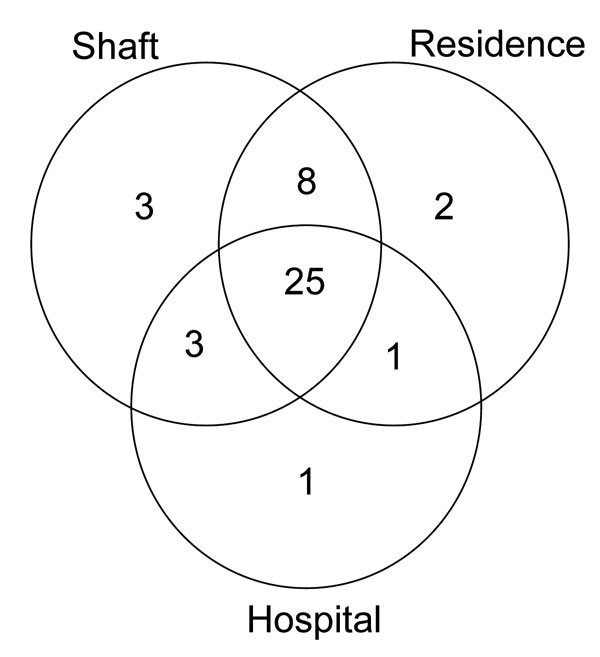 Venn diagram of number of potential contacts by type among patients in the largest multidrug-resistant tuberculosis (MDR TB) cluster, South Africa, 2003–2005. Each circle represents potential places of contact: shaft, mine shaft (work); residence, place of residence; hospital, hospitalization at the same time as another MDR TB case-patient.