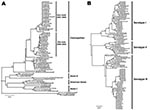 Thumbnail of Maximum-likelihood tree showing the phylogenetic relationship of A) dengue virus serotype 2 (DENV-2) and B) DENV-3 from Singapore and global isolates based on the envelope protein gene. EHI, sequence data generated at Environmental Health Institute; new clade, isolates obtained in 2007 and later; old clade, isolates obtained before 2007. Numbers on branches represent bootstrap percentages; only those &gt;80% are shown. Scale bars indicate substitutions per site.