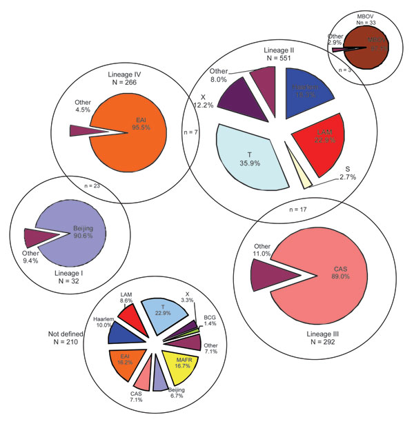 Mycobacterium tuberculosis complex lineages as determined by Gagneux et al. (6) and Baker et al. (7) defined by mycobacterial interspersed repetitive unit codes. MBOV, M. bovis; LAM, Latin American; CAS, Central Asian; EAI, East African–Indian; BCG, bacillus Calmette-Guérin; MAFR, M. africanum. The X, T, LAM, S, and Haarlem families are European American types.