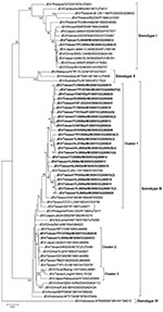 Thumbnail of Phylogenetic tree showing the genetic relationship among Japanese encephalitis virus (JEV) isolates. The tree was constructed on the basis of complete envelope (E) nucleotide sequences of JEV strains. Sequences obtained in this study are indicated in boldface. Genotypes are indicated on the right. Viruses were identified by using the nomenclature of virus/country/strain/source/year of isolation/GenBank accession number. Numbers in parentheses indicate the number of isolates that sho