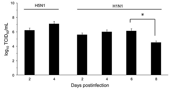 Effect of influenza A virus subtype strains H5N1 and H1N1 on lung virus titers 2–8 days after intranasal inoculation of 10× the 50% mouse lethal dose on day 0. Titers are expressed as the log10 median tissue culture infectious dose (TCID50) units per milliliter of lung homogenate. Significantly different titers are indicated (nonparametric Mann-Whitney test). Error bars indicate SD calculated from individual virus titers. *p &lt;0.05.