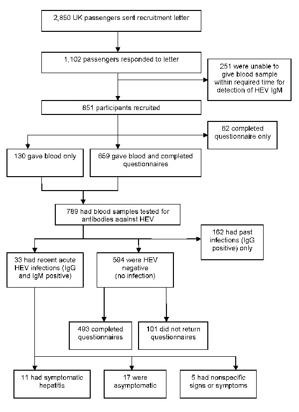 Recruitment of study participants from among UK passengers on world cruise with hepatitis E outbreak, 2008, and outcomes of epidemiologic investigation and clinical study. HEV, hepatitis E; Ig, immunoglobulin.