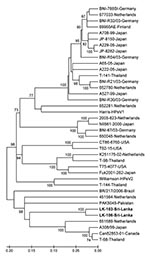 Thumbnail of Phylogenetic tree constructed from nucleotide sequences of the structural viral protein 1 gene of the strains studied and reference human parechovirus (HPeV) strains with 500 bootstrap repetitions. Percentage bootstrap values &gt;70% are shown at the branch nodes. The studied HPeV strains are in boldface; their nucleotide sequences have been deposited in GenBank under accession nos. GQ402515 and GQ402516. Scale bar indicates nucleotide substitutions per site.