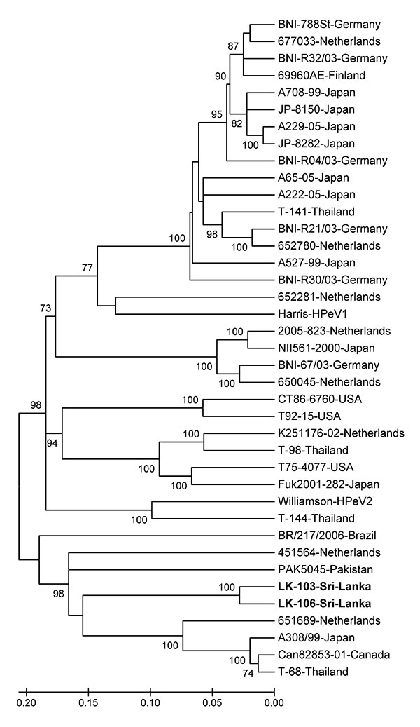 Phylogenetic tree constructed from nucleotide sequences of the structural viral protein 1 gene of the strains studied and reference human parechovirus (HPeV) strains with 500 bootstrap repetitions. Percentage bootstrap values &gt;70% are shown at the branch nodes. The studied HPeV strains are in boldface; their nucleotide sequences have been deposited in GenBank under accession nos. GQ402515 and GQ402516. Scale bar indicates nucleotide substitutions per site.
