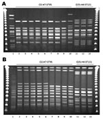Thumbnail of Pulsed-field gel electrophoresis patterns for Escherichia coli O2:H7-ST95 and E. coli O25:H4-ST131. A) XbaI; B) NotI. Lane 1 is the positive control E. coli O11:H18-ST69 (SEQ102); lane 2 is an E. coli O2:H7-ST95 isolate from a restaurant sample of honeydew melon (68616.01); lanes 3–10 are isolates from human urinary tract infection cases (UTIs; lane 3, MSHS 100; lane 4, MSHS 186; lane 5, MSHS 811; lane 6, MSHS 1229; lane 7, MSHS 95; lane 8, MSHS 1062; lane 9, MSHS 782; lane 10, MSHS