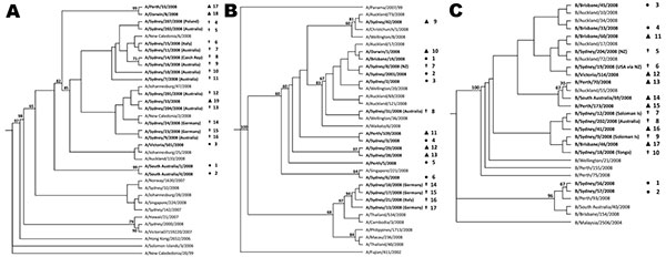 Phylogenetic trees illustrating relatedness of hemagglutinin sequences from influenza A (H1N1) (A), A (H3N2) (B), and B/Malaysia-like viruses (C) from pre–World Youth Day 2008 (WYD2008) Australian isolates (●), WYD2008 isolates (†), post-WYD2008 Australian isolates (▲), and related international isolates. Trees were constructed by using maximum-likelihood (DNAml) in PHYLIP. Only bootstrap values &gt;60 are included.