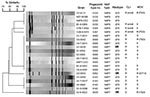 Thumbnail of Dendrogram analysis of macrorestriction patterns (SmaI) of the NAP7 and NAP8 Clostridium difficile strains isolated from the patients listed in Table 2. C. difficile N07-00380 is a ribotype 078 control strain. C. difficile NAP7-CDC and NAP8-CDC control strains are toxinotype V. Isolates exhibiting high-level clindamycin resistance (&gt;256 μg/mL) and harboring ermB are indicated. The amino acid change found in the gyrA protein is shown for the moxifloxacin-resistant strain antimicro