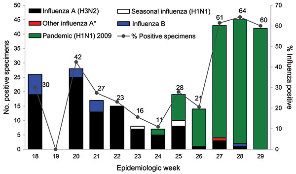 Influenza-positive test results for surveillance samples obtained at the emergency department, Tan Tock Seng Hospital, Singapore, May 3–July 25, 2009. An epidemiologic week starts on a Sunday and ends on a Saturday (e.g., week 18 started on May 3 and week 29 on July 19). *Undetermined influenza A subtypes.