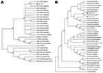 Thumbnail of Consensus bootstrap phylogenetic trees based on nucleotide sequences of orthopoxvirus vaccinia growth factor (vgf) (A) and hemagglutinin (ha) (B) genes. Trees were constructed with ha or vgf sequences by using the neighbor-joining method with 1,000 bootstrap replicates and the Tamura 3-parameter model in MEGA version 3.1 software (www.megasoftware.net). Bootstrap values &gt;40% are shown. Nucleotide sequences were obtained from GenBank. Black dots indicate vaccinia virus (VACV) obtained from Cebus apella (VACV-TO CA) and Allouata caraya (VACV AC). All vgf sequences obtained from monkey serum samples showed 100% and are represented as a unique sequence in the vgf tree (VACV TO). HSPV, horsepoxvirus; VARV, variola virus; CPXV, cowpoxvirus; MPXV, monkeypoxvirus.