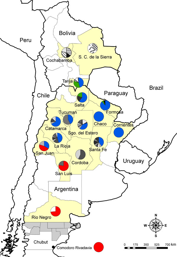 Location of Comodoro Rivadavia (Chubut) and mitochondrial cytochrome oxidase I haplotype frequencies among Triatoma infestans bugs in provinces in Argentina and departments in Bolivia. Colors and patterns in circles indicate frequencies of each haplotype in an area. The haplotype of the bug from southern Patagonia (x) is indicated in red. Shared haplotypes between Argentina and Bolivia are indicated in blue (haplotype c) and green (haplotype n). Yellow areas indicate provinces surveyed. Gray sha