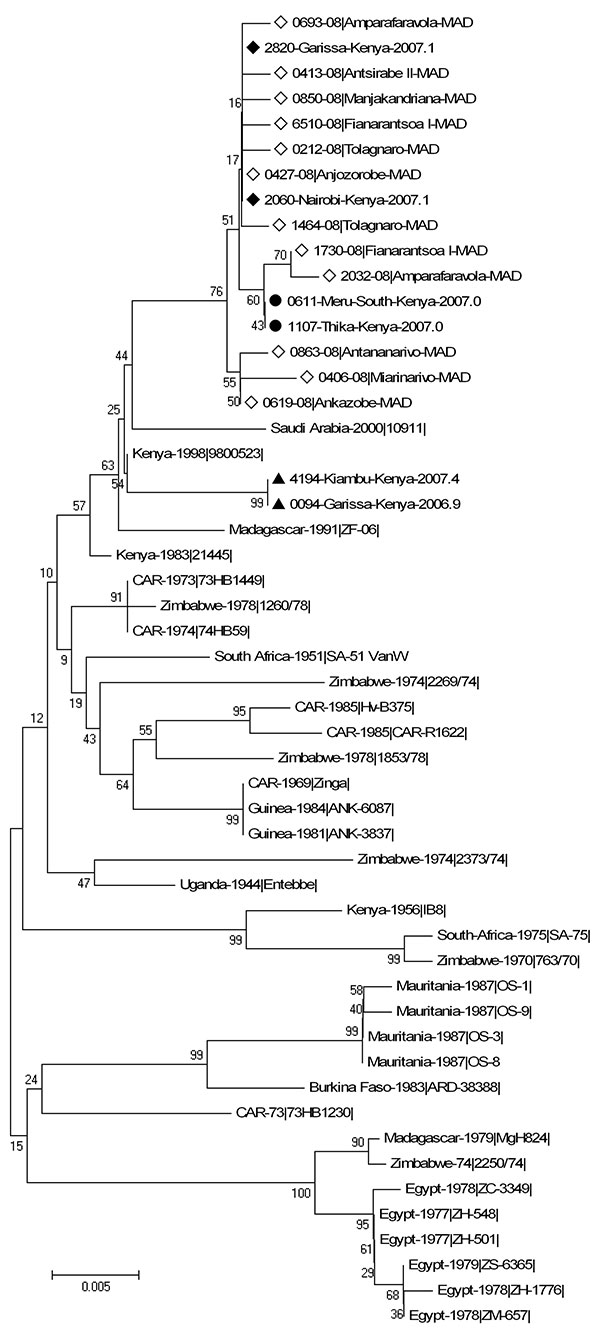 Phylogenetic tree based on the entire small sequences from 33 Rift Valley fever virus strains described by Bird et al. (16), from 6 sequences representative of the Kenya 1, 1a, and 2 lineages described by Bird et al. (18), and from 1 Madagascar strain circulating in 1991 and 12 Madagascar strains circulating in 2008. Boostrap percentages (from 1,000 resamplings) are indicated at each node. ◆ indicates sequences from the 2006–2007 Kenya-1 lineage, ● indicates sequences from the 2006–2007 Kenya-1a