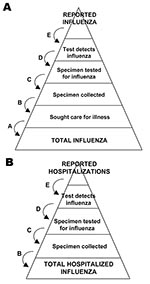 Thumbnail of Schematic of the steps involved in adjusting counts of reported cases of pandemic (H1N1) 2009 to estimate total cases.