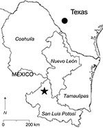Thumbnail of Southern Texas and 4 states in northeastern Mexico. The filled circle in southern Texas indicates the locality in which Catarina virus is enzootic. The star in San Luis Potosí indicates the location of the study site (23°49′5′′N, 100°49′54′′W). Antibody (immunoglobulin G) to Whitewater Arroyo virus previously was found in white-toothed woodrats (Neotoma leucodon), a Mexican woodrat (N. mexicana), and deer mice (Peromyscus spp.) captured in Nuevo León; white-throated woodrats (N. alb