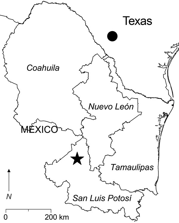 Southern Texas and 4 states in northeastern Mexico. The filled circle in southern Texas indicates the locality in which Catarina virus is enzootic. The star in San Luis Potosí indicates the location of the study site (23°49′5′′N, 100°49′54′′W). Antibody (immunoglobulin G) to Whitewater Arroyo virus previously was found in white-toothed woodrats (Neotoma leucodon), a Mexican woodrat (N. mexicana), and deer mice (Peromyscus spp.) captured in Nuevo León; white-throated woodrats (N. albigula) and wh