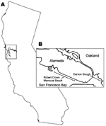 Thumbnail of San Francisco Bay area, California, USA (A), and locations where Haminoea japonica snails were obtained (B).