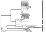 Thumbnail of Bayesian phylogenetic tree of Toscana virus (TOSV) and Sandfly fever Naples virus (SFNV) strains. For each sequence used, GenBank accession number, strain designation, and strain origin are shown. Phylognetic analysis was performed by using MrBayes 3.0 program (4) with a general time reversible substitution model. Substitution rates were assumed to follow a gamma plus invariants distribution. Three heated chains and a single cold chain were used in all Markov Chain Monte Carlo analy