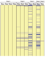 Thumbnail of Physical gene representation of DNA hybridization of 11 isolates of Granulibacter bethesdensis by DNA–DNA hybridization microarray-based investigation of gene distributions among G. bethesdensis isolates. Every open reading frame in the G. bethesdensis type strain is represented. Hybridization is shown in yellow, and absence of hybridization is shown in blue. Four sequential isolates (NIH 1.1, NIH 1.2, NIH 1.3, and NIH 1.4) from patient 1 are shown from left to right and group with