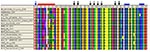 Thumbnail of Schematic of lymphocytic choriomeningitis virus (LCMV) Z open reading frame.
The N-terminal myristoylation site (31), RING motif, and late domains are all highly conserved among the LCMV strains analyzed. Unexpectedly, the Z protein of the H935_Georgia_1984 virus strain is 1 aa longer than all the others.