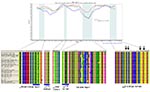 Thumbnail of Schematic of lymphocytic choriomeningitis virus (LCMV) nucleoprotein open reading frame. Nucleoprotein protein motifs (33) were found to be highly conserved among all strains analyzed. A, all influenza virus type A strains.