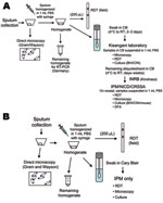 Thumbnail of Flow of sample processing for specimens for pneumonic plague outbreaks in Zobia, Democratic Republic of the Congo (DRC), 2005 (A), and Bolebole, DRC, 2006 (B). PBS, phosphate-buffered saline; RDT, rapid diagnostic test; RT, reverse transcription; CB, Cary Blair; BHI/CIN, brain–heart infusion; cefsulodin-Irgasan-novobiocin; INRB, Institut National pour la Recherche Biologique; IPM/NICD/CRSSA, Institut Pasteur de Madagascar/National Institute for Communicable Diseases/Centre de Recher