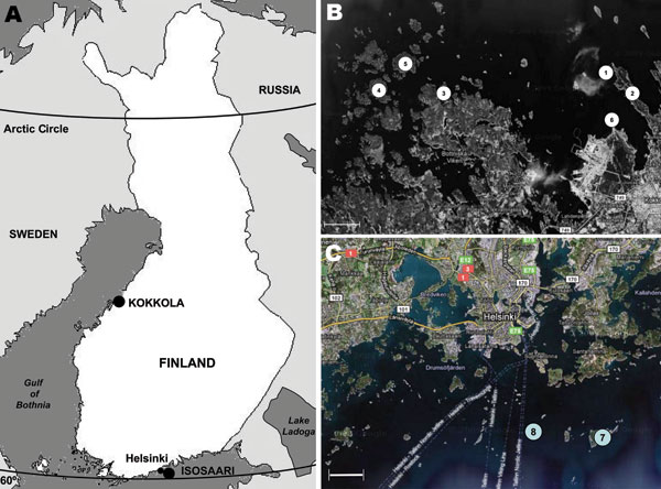 Sites at which rodents were trapped during winters of 2008 and 2009, Finland. A) Locations of trapping sites within Finland. B) Kokkola archipelago, where Siberian subtype of tick-borne encephalitis virus is endemic: 1,Trullevi, Kupu Island; 2,Trullevi; 3, Enträskholmen Island; 4, Börskär Island; 5, Norra Hamnskäret Island; 6, Harrbådan. C) Helsinki archipelago, Isosaari, where European subtype of tick-borne encephalitis virus is endemic: 7, Isosaari Island; 8, Harmaja Island. Scale bars indicat