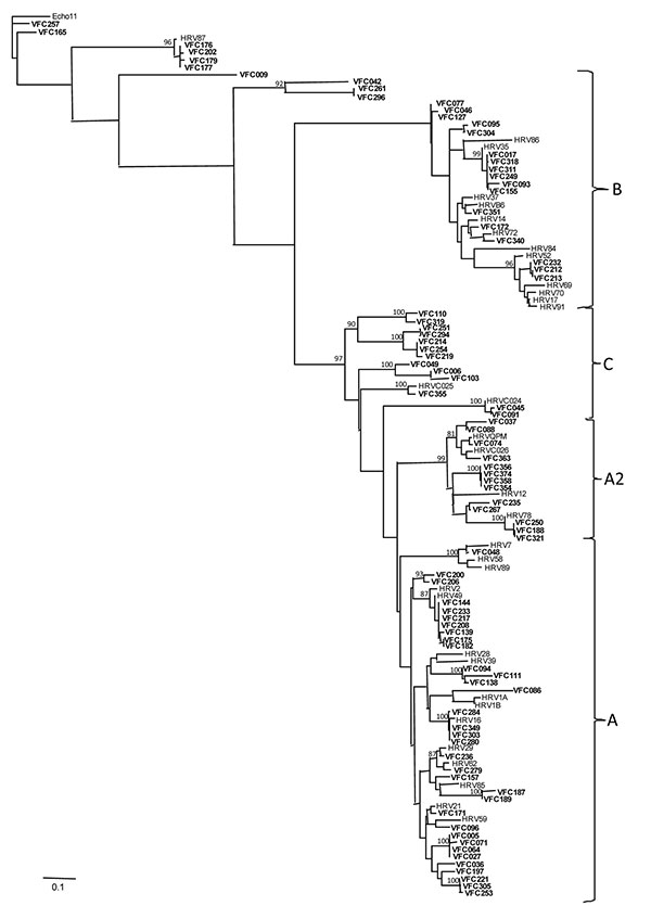 Representative maximum-likelihood phylogenetic tree of a partial 5′ noncoding region of human rhinovirus generated with general time reversible substitution model, including gamma distribution shape parameter. Reference human rhinovirus (HRV) genotypes were obtained from the GenBank database. Echovirus 11 was defined as the outgroup. Virus isolates obtained in this study are indicated by boldface and are labeled VFC. Bootstrap values &gt;70% in the key branches are depicted. Scale bar indicates