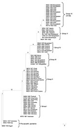 Thumbnail of Maximum-parsimony tree of 68 seventh cholera pandemic and 3 pre–seventh cholera pandemic isolates. The tree was based on 18 N16961 seventh pandemic single-nucleotide polymorphisms (SNPs) and 12 MO10 O139 SNPs. The 3 pre–seventh pandemic isolates were used as an outgroup. Each strain name is followed by the year and location of isolation. All 15 O139 isolates had the same SNP profile and are shown as group VI. The numbers on each node represent the number of supporting SNPs. M821 and
