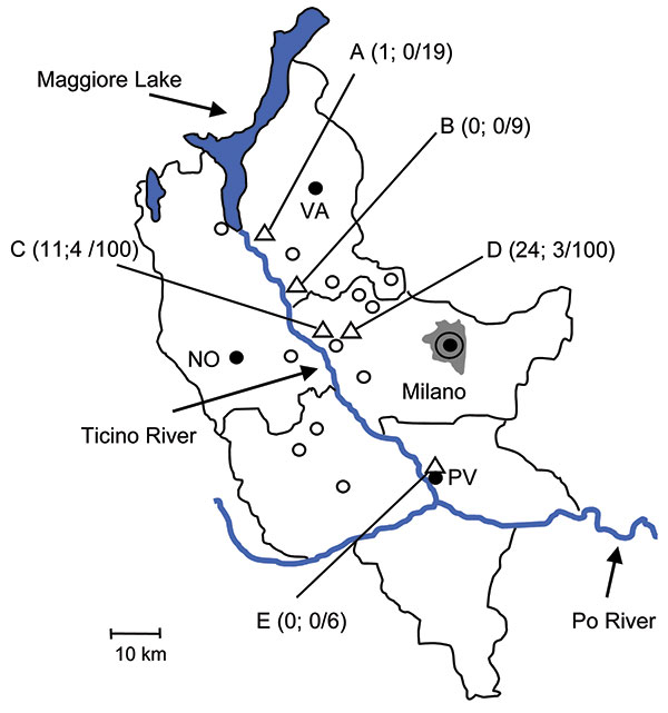 Collection sites (triangles A–E) of Ixodes ricinus ticks in the counties of Milano, Pavia, and Varese, Po River Valley, Italy, 2008. Ticks were collected in rural or suburban areas of the municipalities of Somma Lombardo (collection site A), Lonate Pozzolo (B), Magenta (C, D), and Pavia (E). The 3 numbers in parentheses for each collection site indicate number of tick nymphs positive for Borrelia afzelii, number of nymphs positive for B. lusitaniae, and number of nymphs examined by PCR. The adul