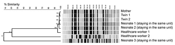 Molecular typing of extended-spectrum β-lactamase–producing Escherichia coli isolates by pulsed-field gel electrophoresis. Dendrogram shows a cluster of 6 isolates with identical banding pattern and 2 isolates with 2 distinct patterns.