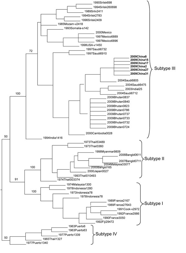 Evolutionary analysis of dengue virus isolates from this study (boldface) compared with established dengue virus serotype 3 subtypes, Zhejiang Province, People’s Republic of China, 2009.