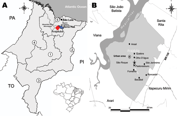 A) Regions of Anajatuba (red) (Maranhão River Microregion) and Santa Rita (blue) (Rosario Microregion), Maranhão, Brazil, where hantavirus pulmonary syndrome (HPS) cases were found. PA, Para; TO, Tocantins; PI, Piaui; 1, central region; 2, eastern region; 3, southern region; 4, western region; 5, northern region. B) Towns in Anajatuba where a serologic survey for HPS in humans was performed. Dotted oval, São Roque; star, rodent capture location; ovals, locations where HPS cases were found.
