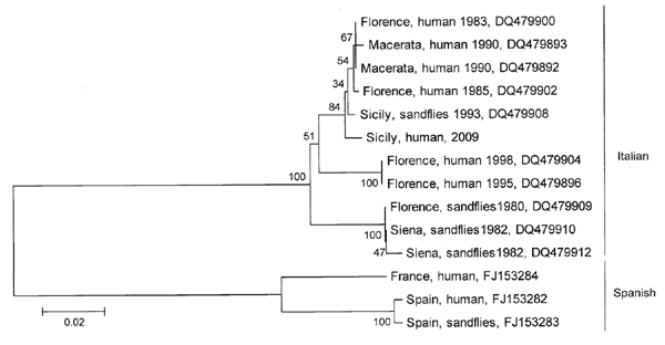 Phylogeny of Toscana viruses (TOSVs) of diverse origin. Partial small (S) and medium (M) segment sequences of interest were aligned by using ClustalW (www.ebi.ac.uk/Tools/clustalw2/index.html), and neighbor-joining and maximum-parsimony trees were generated by using 2,000 bootstrap replicates with MEGA version 4 (6). Highly similar topologies and confidence values were derived by all methods, and a neighbor-joining tree generated from a comparison of 424 nt of the M segment polyprotein gene open