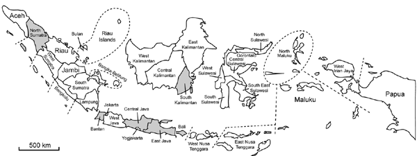 Provinces in Indonesia (gray shading) where surveillance for influenza A (H5N1) virus in pigs was conducted during 2005–2009.
