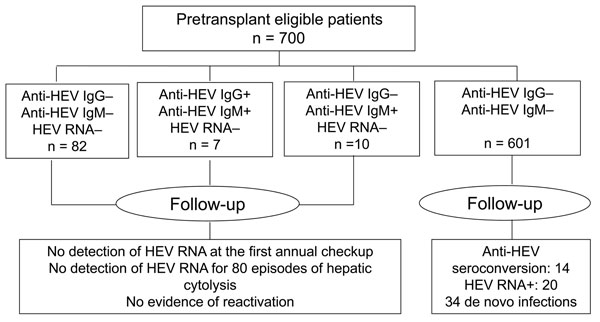 Hepatitis E virus (HEV) markers in 700 solid-organ transplant recipients, France, January 2004�??December 2008. Ig, immunoglobulin.