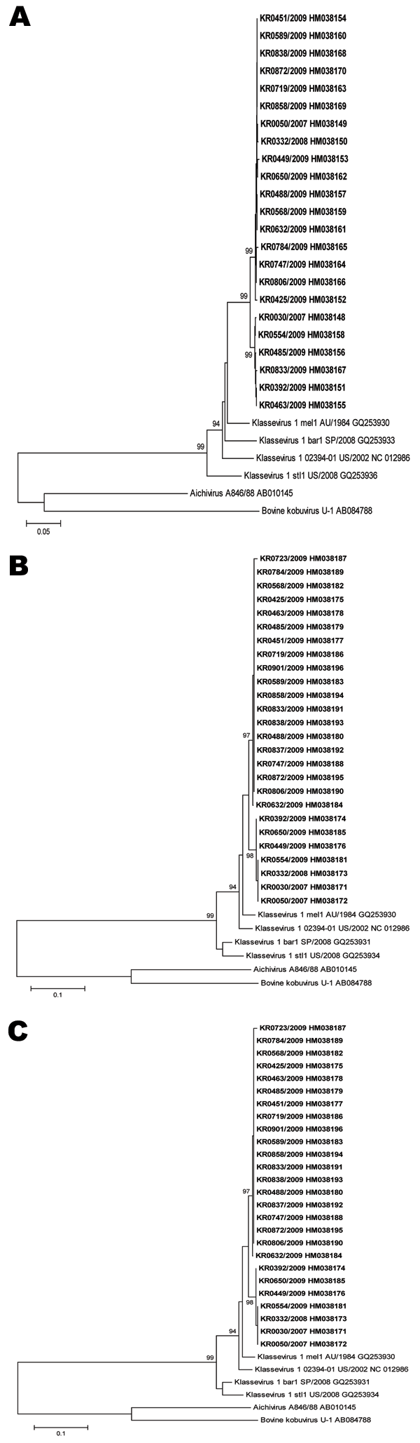 Phylogenetic analysis of the A) partial viral protein (VP) 0/VP1 (852 bp), B) 3D (668 bp), and C) 2C (345 bp) gene sequences of klassevirus-1 strains. The klassevirus-1 strains isolated in this study are indicated in boldface. The tree was constructed by using the neighbor-joining method with Kimura 2-parameter estimation. The bootstrap values from 1,000 replicates are present on each branch. The nucleotide sequences identified in this study have been deposited in GenBank under accession nos. HM