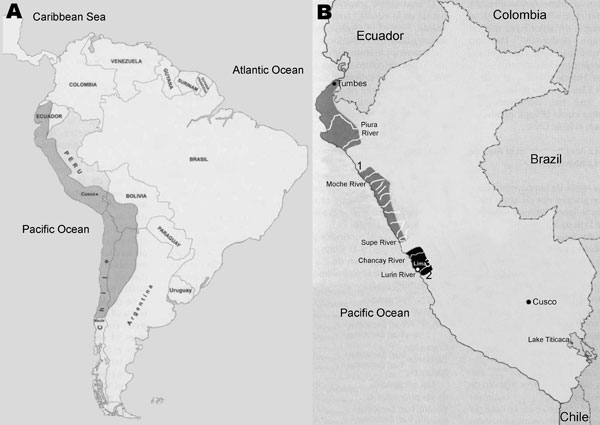 A) Geopolitical map of the Incan Empire at the time of its greatest expansion (dark gray shading). B) Geographic location of the Chimu (dark gray shading) and Maranga (black shading) cultures in modern Peru. The numbers indicate the sites at which pre-Incan anthropomorphic potteries depicting tungiasis were located: 1, Chicama Valley; 2, Pachacamac Valley; 3, Surquillo.