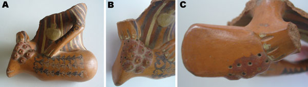 A) Polychromic Maranga culture fragment that portrays a torso and a tattooed left leg of a person holding a stick while extracting foreign bodies. Cluster lesions with elevated nodules and a central black depression suggest Tunga spp. infection. B) Closer view of the left heel. C) Details of the sole of the left foot, showing multiple holes over a brick-red surface, suggesting residual tungiasis lesions. No. 1219, courtesy of the Amano Museum Foundation.