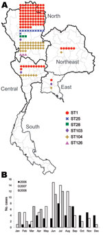 Thumbnail of Distribution and sequence types (STs) of 165 human isolates of Streptocoocus suis serotype 2, January 2006–August 2008, Thailand. A) Regions of isolation; B) monthly distribution of isolations.