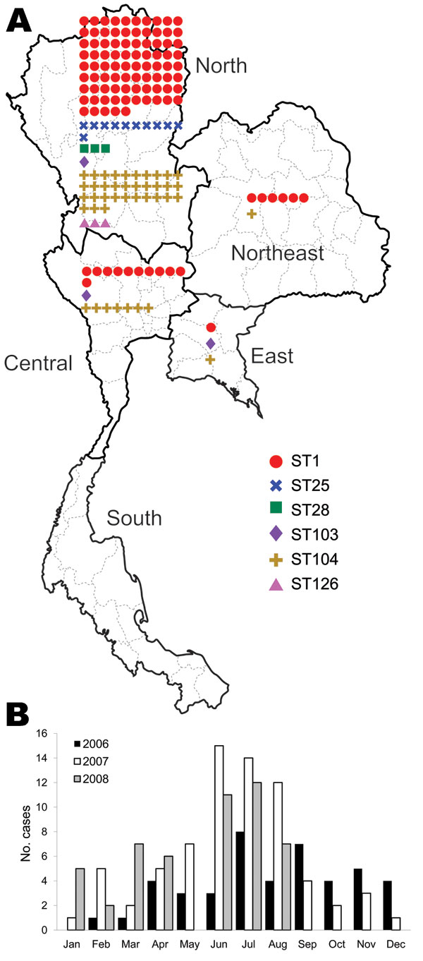 Distribution and sequence types (STs) of 165 human isolates of Streptocoocus suis serotype 2, January 2006–August 2008, Thailand. A) Regions of isolation; B) monthly distribution of isolations.
