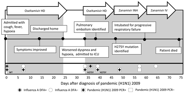 Clinical course for a 45-year-old woman (Table 3) hospitalized (periods indicated by gray shading) with influenza-associated pneumonia and concurrent pulmonary aspergillosis. The patient had received an autologous stem cell transplant 1 year earlier and underwent treatment with high-dose (HD) steroids for carmustine (BCNU) pneumonitis. On admission, she received HD oseltamivir (150 mg orally 2×/d) for 14 days, and antifungal therapy was initiated. Test results were positive for wild-type (WT) pa