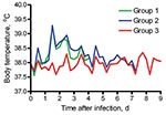 Thumbnail of Average body temperatures of 2 groups of cats experimentally infected with pandemic (H1N1) 2009 virus (groups 1 and 2) and sentinel cats (group 3).