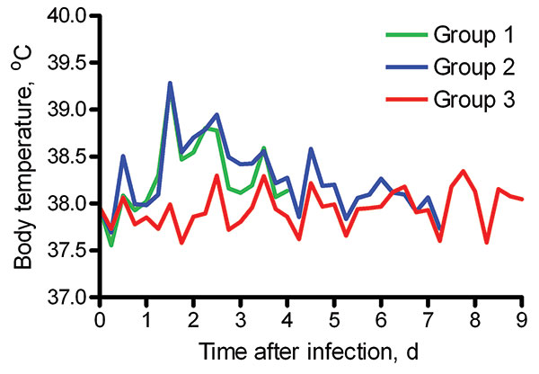 Average body temperatures of 2 groups of cats experimentally infected with pandemic (H1N1) 2009 virus (groups 1 and 2) and sentinel cats (group 3).