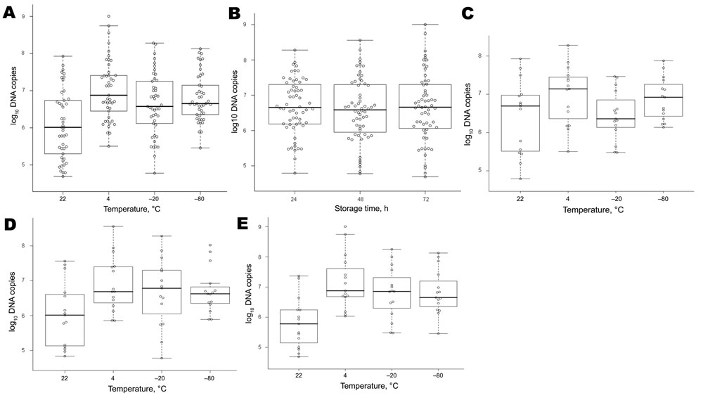 Effect of temperature (A), storage time (B), and temperature and storage times (C–E) on yield of rickettsial DNA, Marseille, France. Guinea pigs (n = 3) were infected with Rickettsia conorii and inspected daily for skin lesions. After lesions appeared, 12 swab specimens/animal were obtained daily for 5 days and stored in groups of 3 at 22°C, 4°C, −20°C, or −80°C. DNA was extracted after storage for 24 h, 48 h, or 72 h at each temperature in a final volume of 100 μL, and numbers of bacterial DNA